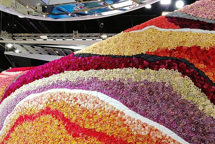 На ПМЭФ соорудили стену из живых роз. Все ее фотографируют 🌹