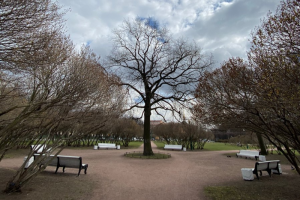Смольный заявил, что на майских праздниках для занятий спортом можно посещать открытые парки. Но точного списка нет