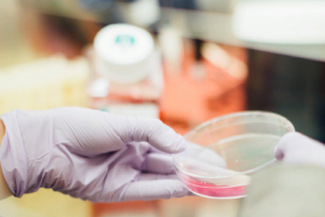 С 18 мая в Петербурге частная лаборатория запускает тесты на антитела к коронавирусу