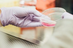 «Биокад» намерен перейти к испытаниям одной из вакцин от коронавируса на людях уже летом. НИИ гриппа готовится к доклиническим исследованиям