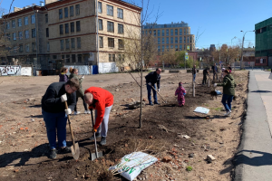 Жители Центрального района начали создавать сад Памяти на углу Кирочной и Новгородской улиц. Они высадили 10 кустов сирени и несколько деревьев
