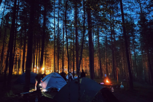 В Ленобласти прошел велофестиваль Reverse Race. Сотни велосипедистов участвовали в гонке по лесу 🚲