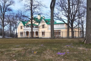 Это правда, что вход в парки Ораниенбаум и Александрия стоит 600 рублей? Объясняем, какова цена на самом деле