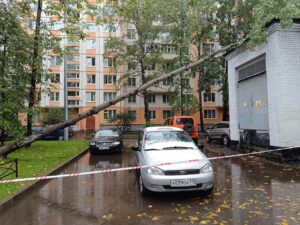 В Петербурге уже сутки непогода. В городе — сильный ветер, подъем воды, дожди и снег