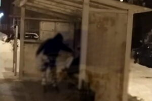 Полицейские задержали подростков, которые нападали на дворников-мигрантов в Калининском районе Петербурга