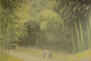 Раскрашенные фотографии, современная мозаика и другие новые выставки Петербурга