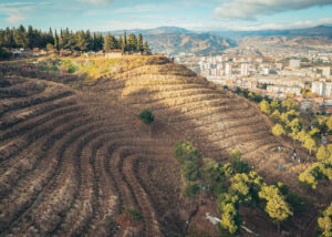 Лесную территорию в 10 гектаров восстанавливают в Самгори