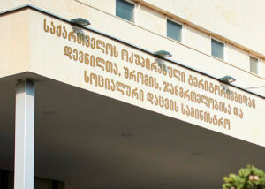 Кто считается самозанятым по грузинскому законодательству?