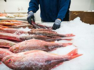 Покупатели обвинили тбилисский магазин морепродуктов Hofofish в мошенничестве. Заведено уголовное дело