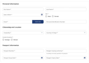 Как заполнить заявку на разрешение на работу в Грузии. Инструкция