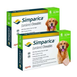 Бесплатные таблетки от блох и клещей могут получить опекуны собак в Тбилиси