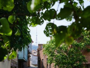 «Солнце, выходи, выходи!» — подходящая песня к первому дню лета