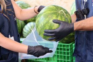 В арбузах и дынях, которые продаются в Грузии, не выявили превышения нормы нитратов — Национальное агентство по продовольствию